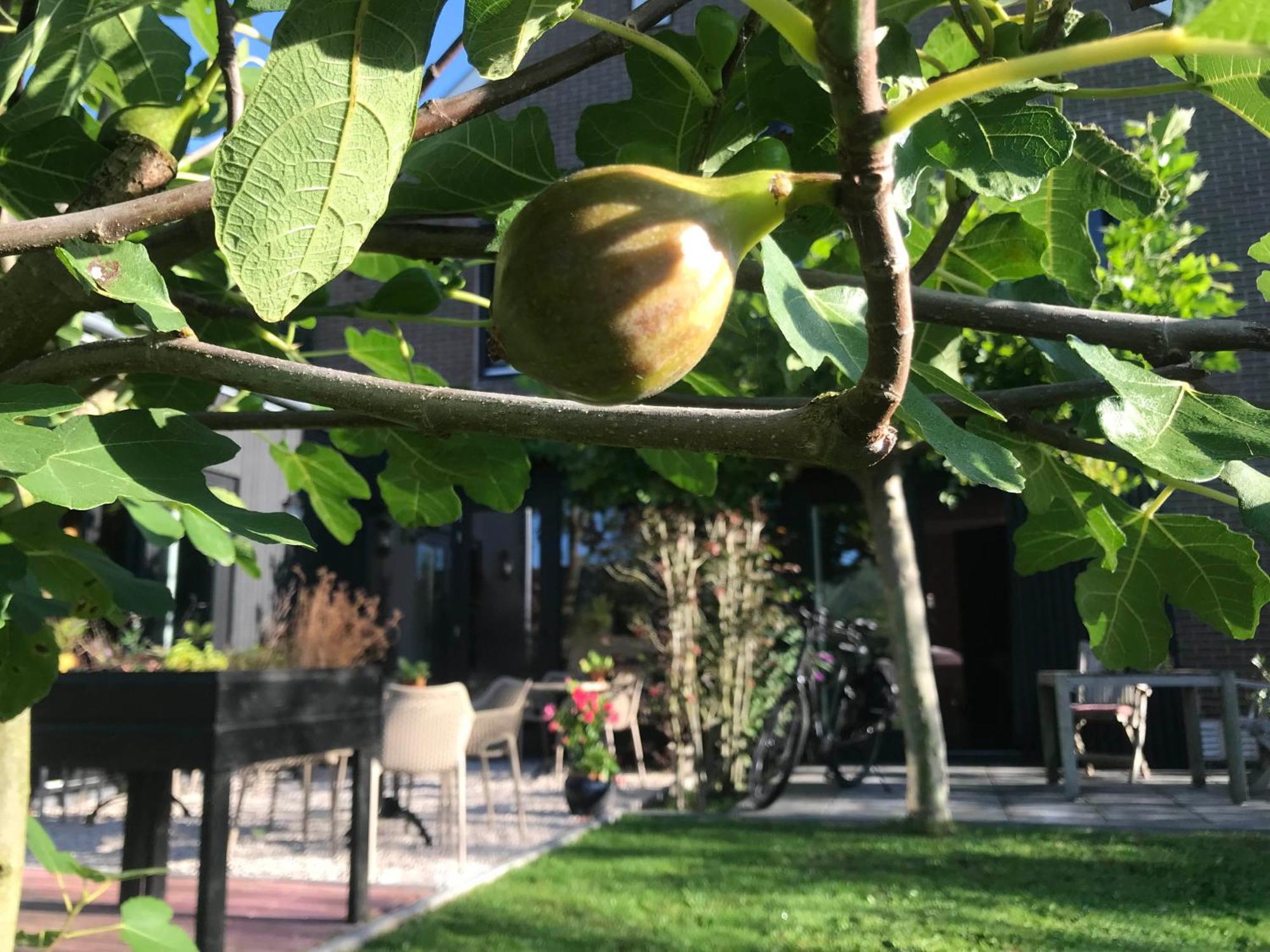 B&B De Pastorie Bij Dokkum Reitsum Exteriér fotografie