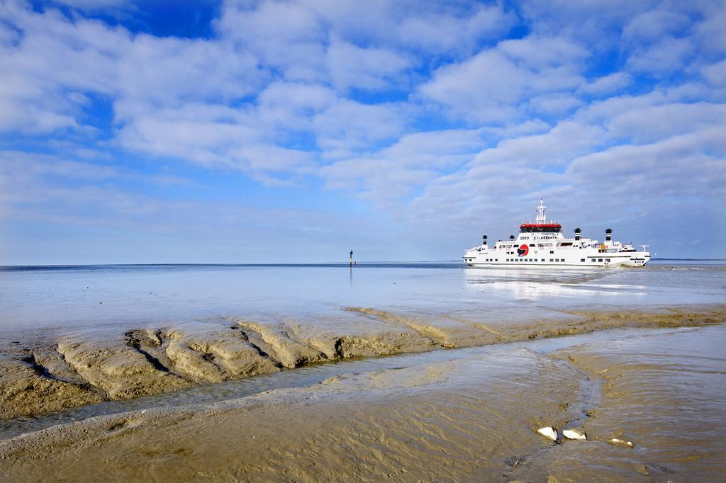 B&B De Pastorie Bij Dokkum Reitsum Exteriér fotografie