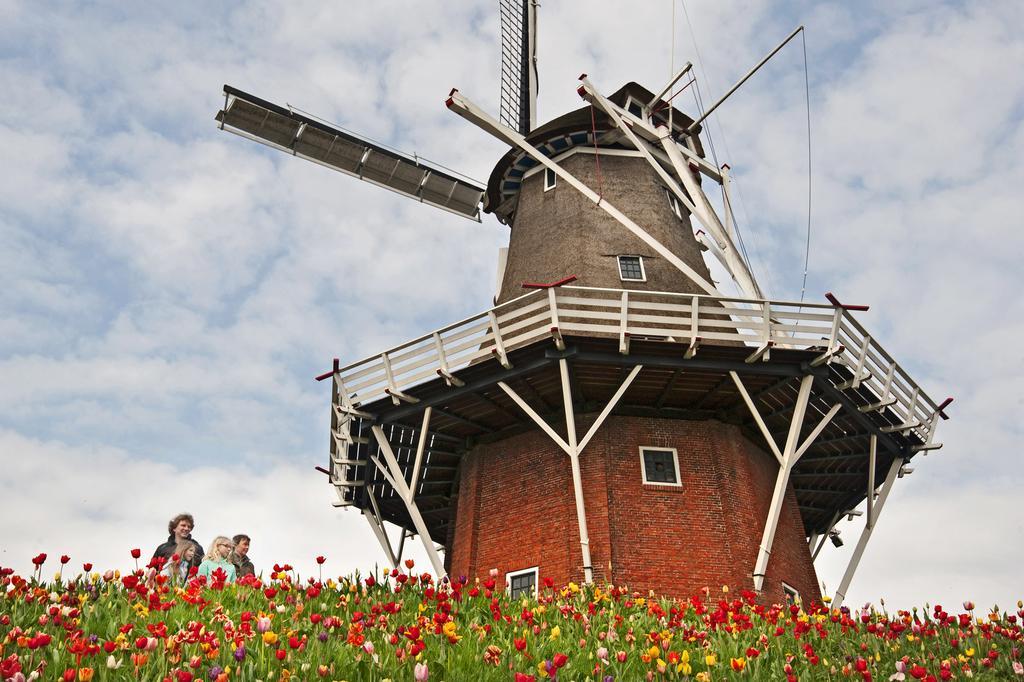 B&B De Pastorie Bij Dokkum Reitsum Exteriér fotografie