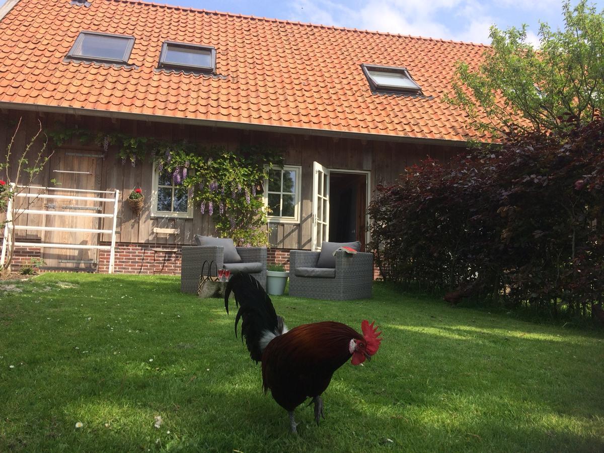 B&B De Pastorie Bij Dokkum Reitsum Exteriér fotografie