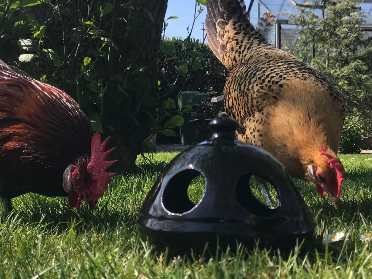 B&B De Pastorie Bij Dokkum Reitsum Exteriér fotografie